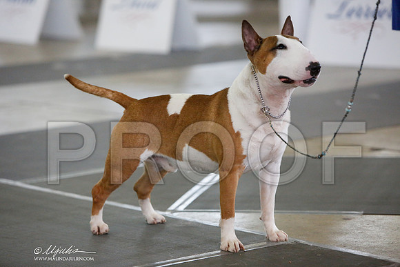 _JJ_2383-DallasJul2014-HR3