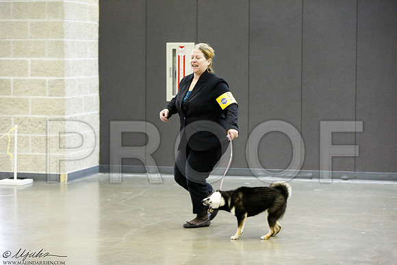 _J3L9761-BeltSep2014-HR