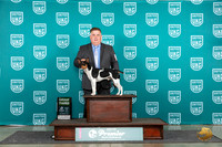 Rat Terrier #280 Fri G3 Judge Lori Sargent