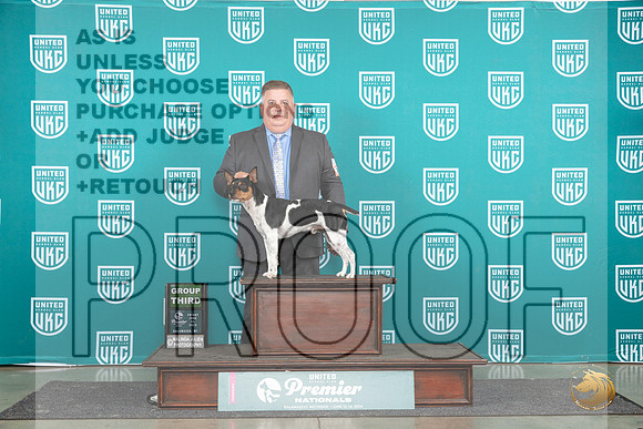 Rat Terrier #280 Fri G3 Judge Lori Sargent__JP_1755_Premier_2024_HR3