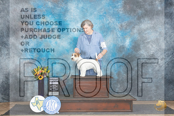 Russell Terrier #5 Fri G4 Judge Janet Parcel__JP_9526_Abilene_2024_HR3