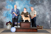 Portuguese Podengo Pequeno #8 Sat WBBOBNCh Judge Eric Liebes