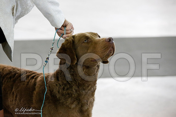 _JN_3035-DallasJul2014-HR3