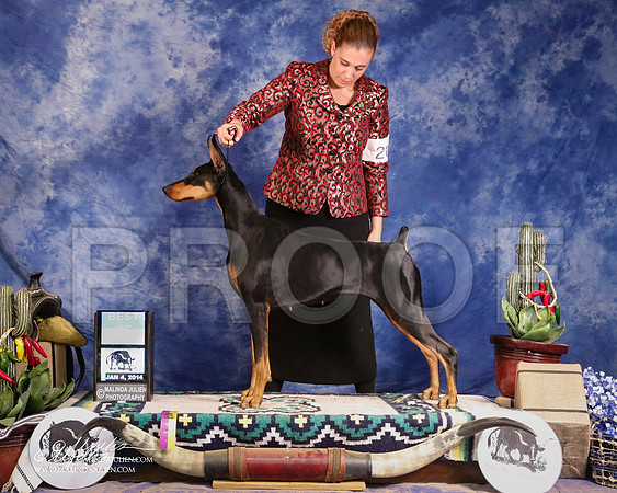 Dobe-3003-GRJan14-HR