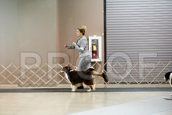 _RH_2745-ASCACollegeStationNov2014-HR3