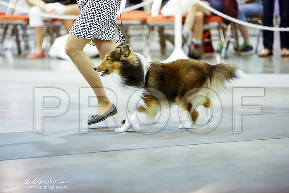 _JN_0975-HstnJul2014-HR3