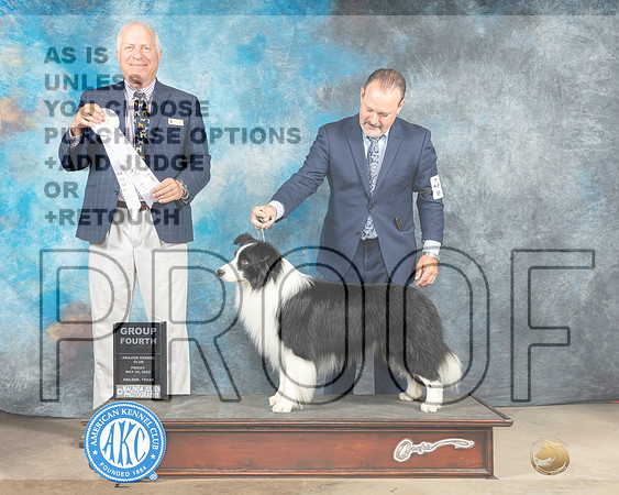 Border Collie #? Fri G4 Judge Eric Liebes-MMJ_3398e-Abilene2022_HR3