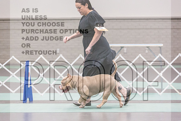 Bully Rings Fri Ring 1_JJL_6868_UKCLNGVIEWOCT2024_2024_HR3