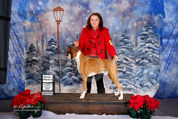 boxer-6389-MrshlDec13-HR