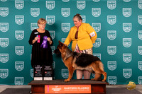 German Shepherd Dog #189 Fri BOBCH Judge Kathy Russell