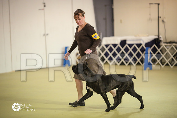 Cane-7827-HtoJan14-HR