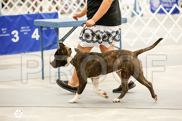 _CK_8726-AblnMay2014-web