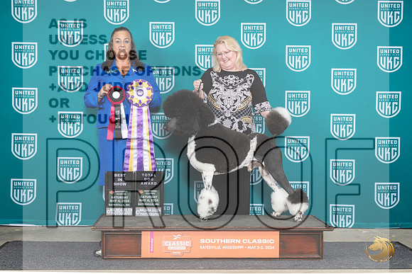 Poodle Std MC #128 Sat1 BISTD Judge Valerie Piltz__JP_6517_BatesvilleMS_2024_HR3