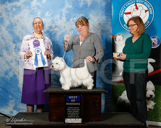 _ST_5556-2-FWMar2015-HR3