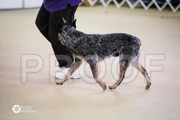 ACD-7607-HtoJan14-HR