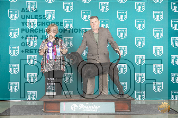 Plott Hound #698 Fri BOB Judge Corianna Glenn__JP_1701_Premier_2024_HR3