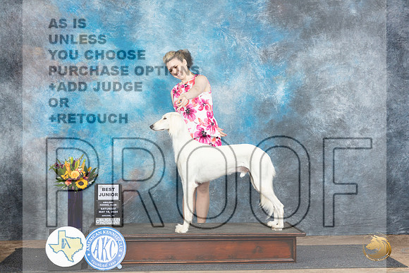 Saluki #J600 Sat BJr Judge Judy Wade r__JP_0038_Abilene_2024_HR3