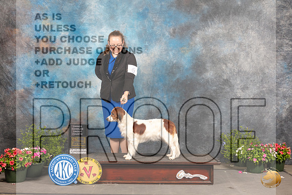 Nederlandse Koikerhondje #6 Sat OHG4 Judge Anne Bolus_MJ_0517_SA_2022_HR3