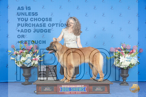 Leonberger #16 FRI SB OHBOB M Judge Douglas Johnson__JP_8790_Houston_2024_HR3
