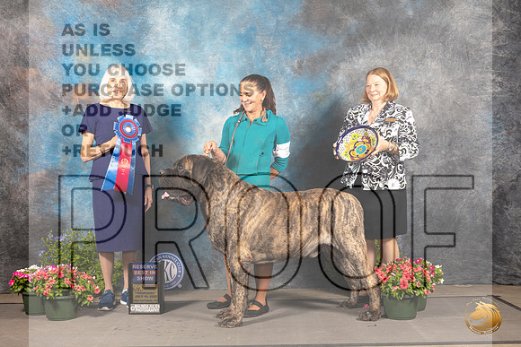 Mastiff #9 Thur RBIS Judge Jan Paulk_MJ_0027_SA_2022_HR3