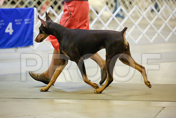_JJ_7698-AmarilloSept2014-HR3