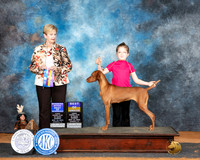 Angie Nalls Marshall 2024