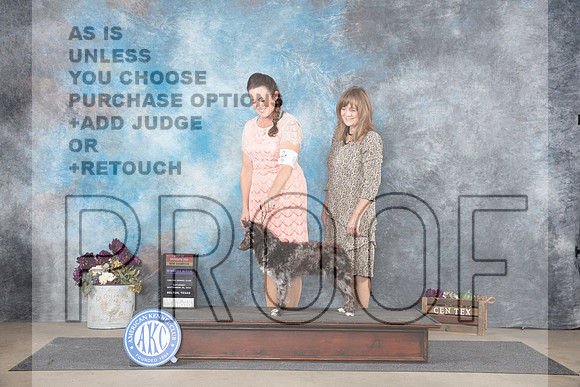 Mudi #6 Sat WBBOSNCH Judge Del Richards__JP_7109_Belton_2024_HR3