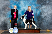 Canaan Dog #5 Fri G2 Judge Larry Abbott