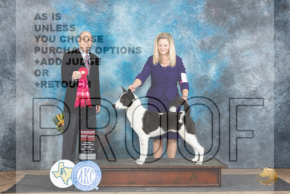 Canaan Dog #5 Fri G2 Judge Larry Abbott__JP_9535_Abilene_2024_HR3