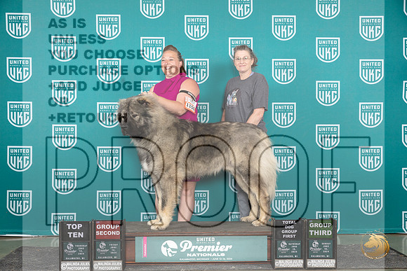 Caucasion Ovcharka #1150 Sun G3 Judge Tracie Karsjens__JP_3212_Premier_2024_HR3